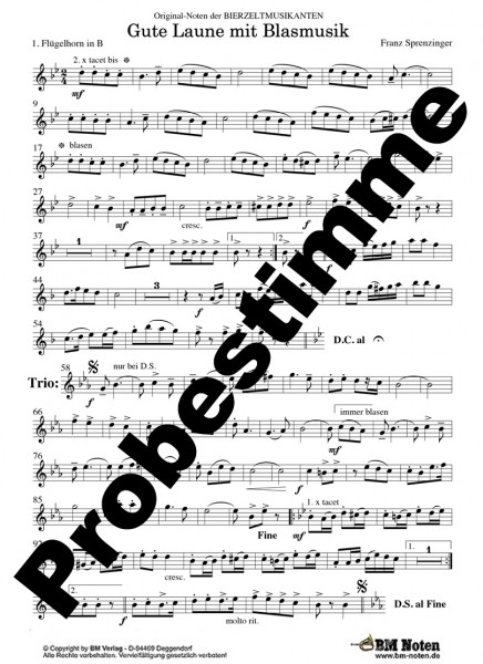 Gute Laune mit Blasmusik