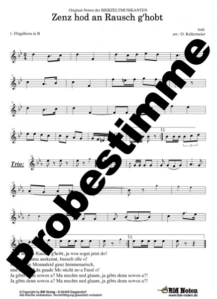 Zenz hod an Rausch g'hobt!