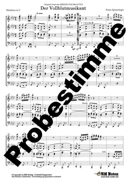 Der Vollblutmusikant