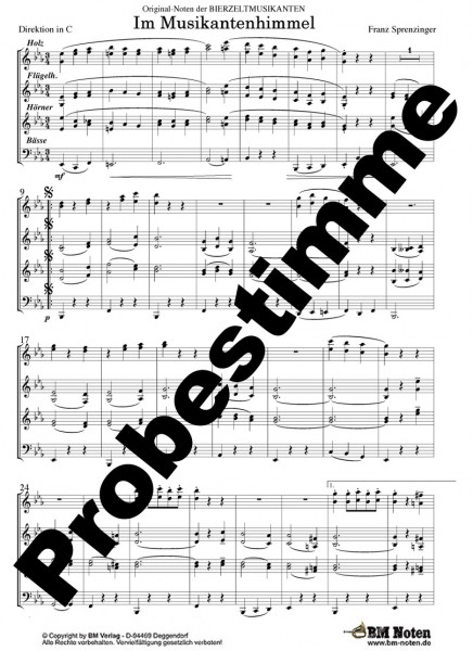 Im Musikantenhimmel