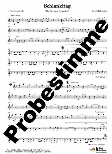 Schlankltag - Tanzlmusik