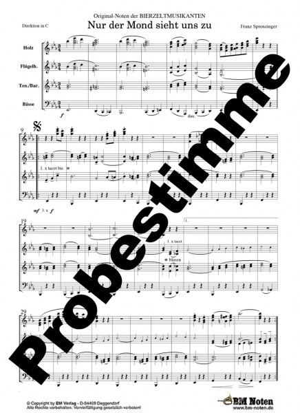 Nur der Mond sieht uns zu