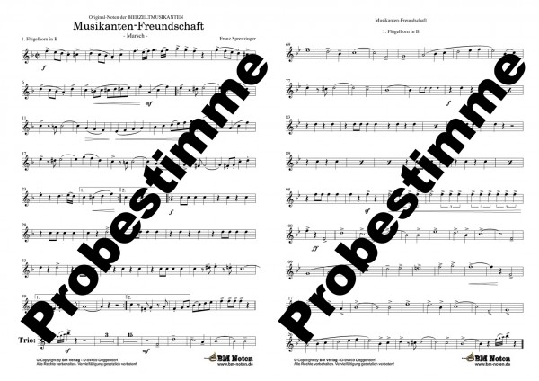 Musikanten-Freundschaft