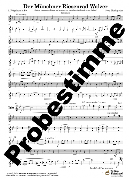 Der Münchner Riesenrad Walzer - Tanzlmusik