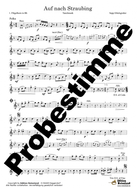 Auf nach Straubing - Tanzlmusik