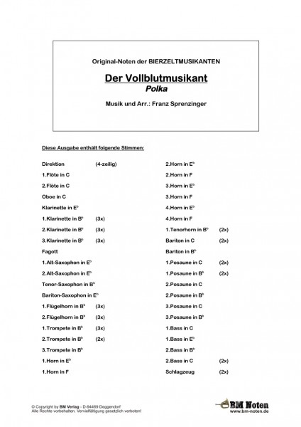 Der Vollblutmusikant