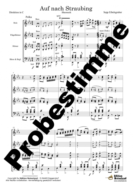 Auf nach Straubing - Blasmusik